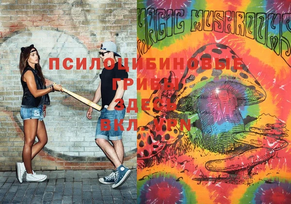 спиды Кукмор