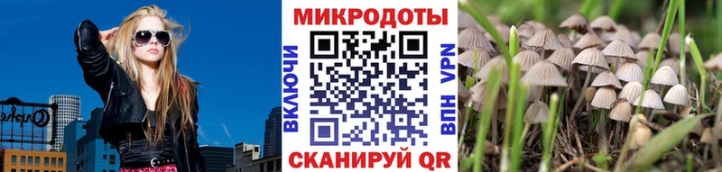 Купить  Бежецк  Галлюциногенные грибы Magic Shrooms 